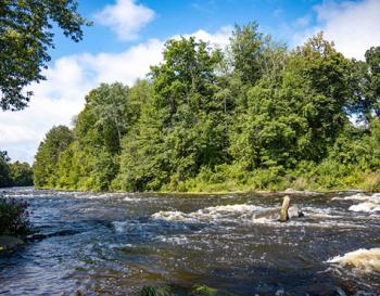 Embrace the Beauty of Walkability at Anthem